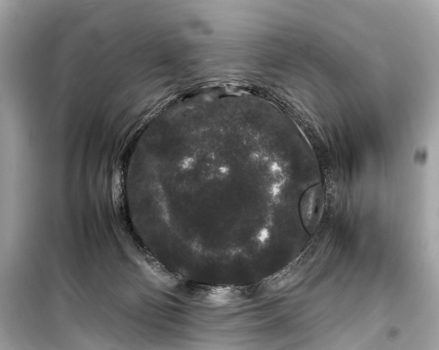 X0000099310130200805161422