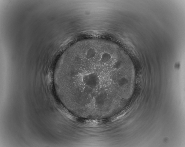 X0000099310131200805161422