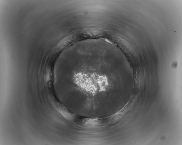 X0000099310132200805161422