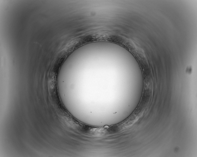 X0000099310133200805161422