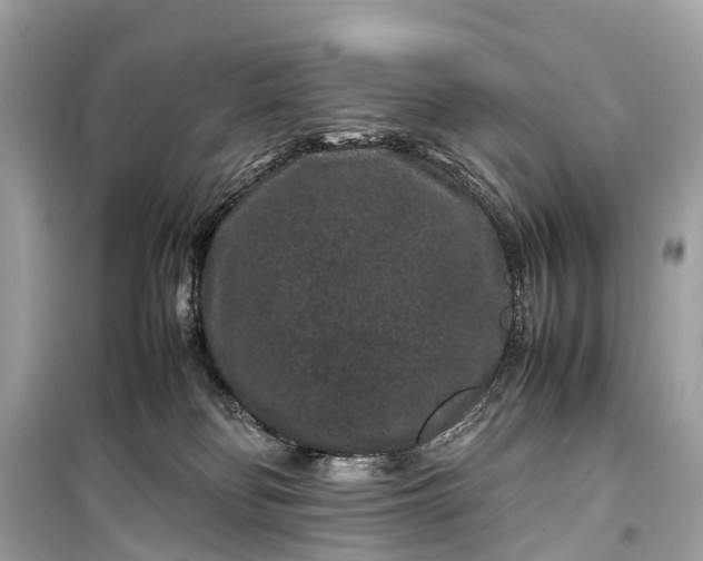 X0000099310134200805161422