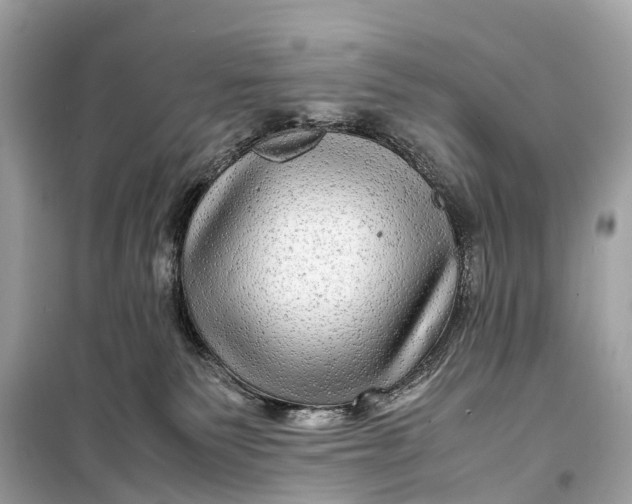 X0000099310135200805161422