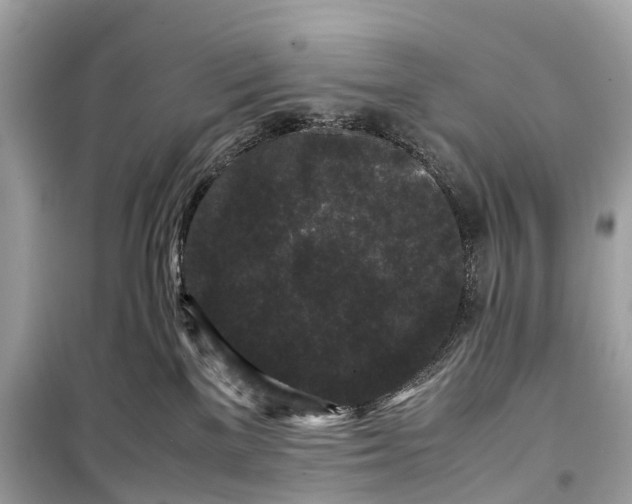 X0000099310137200805161422