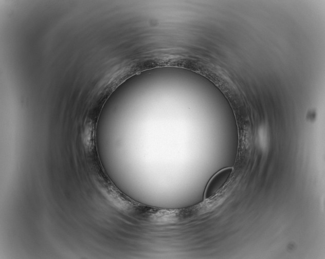 X0000099310138200805161422