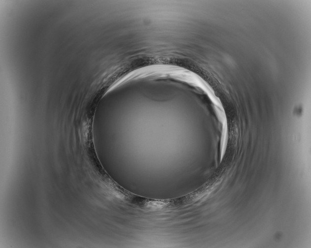 X0000099310139200805161422