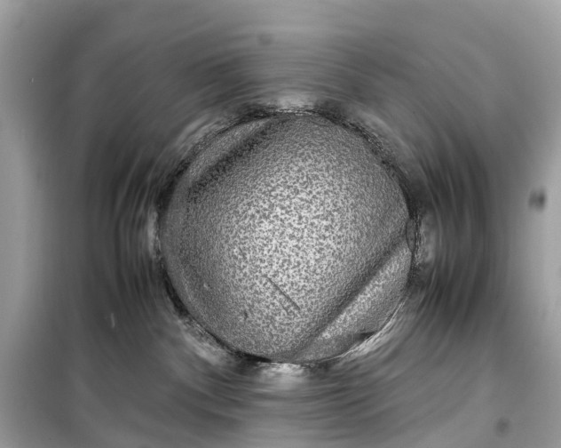 X0000099310140200805161422