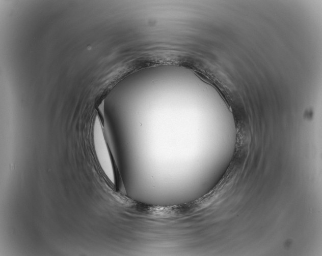 X0000099310141200805161422