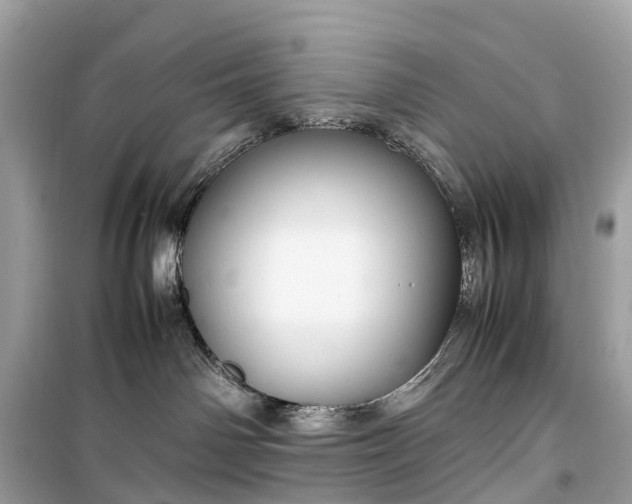 X0000099310142200805161422