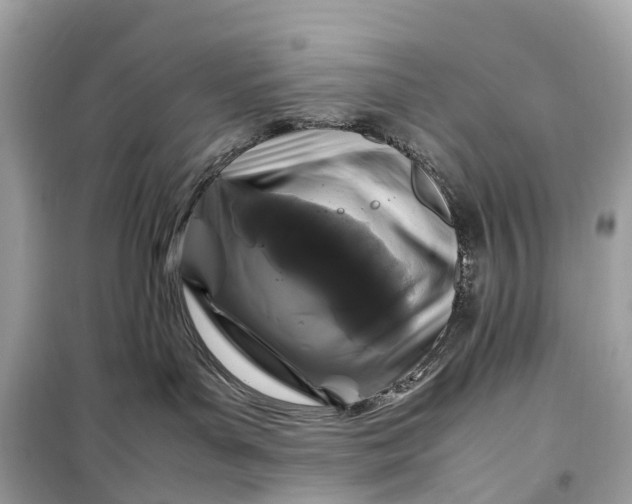 X0000099310143200805161422