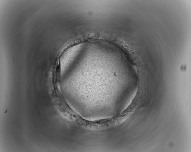 X0000099310144200805161422