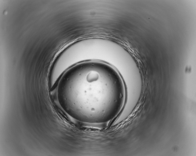 X0000099310146200805161421