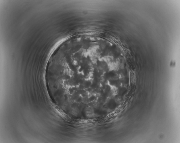 X0000099310147200805161421