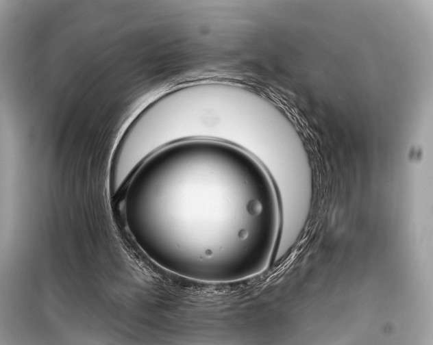 X0000099310148200805161421