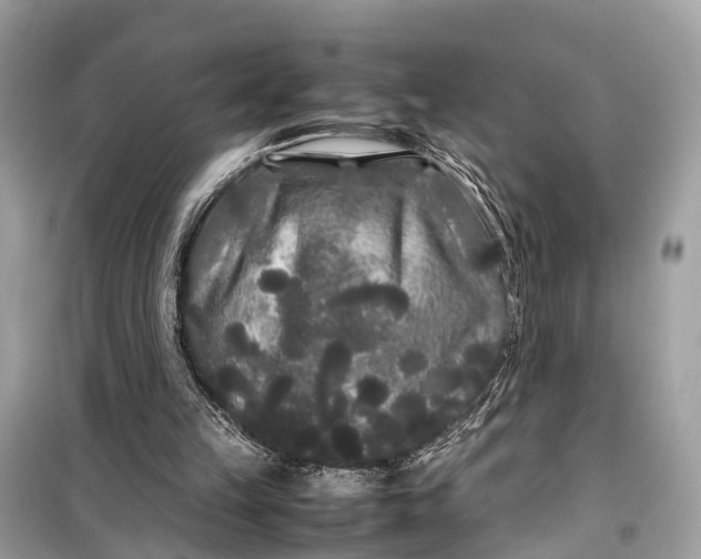 X0000099310149200805161421