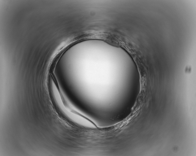 X0000099310150200805161421