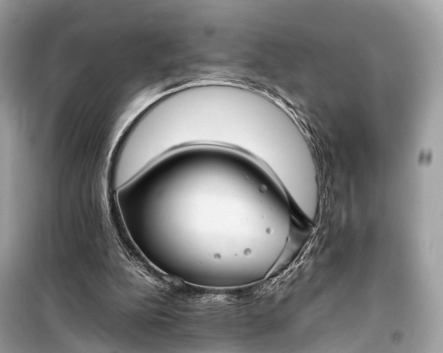 X0000099310152200805161421