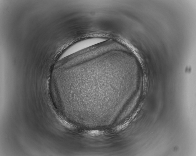 X0000099310153200805161421