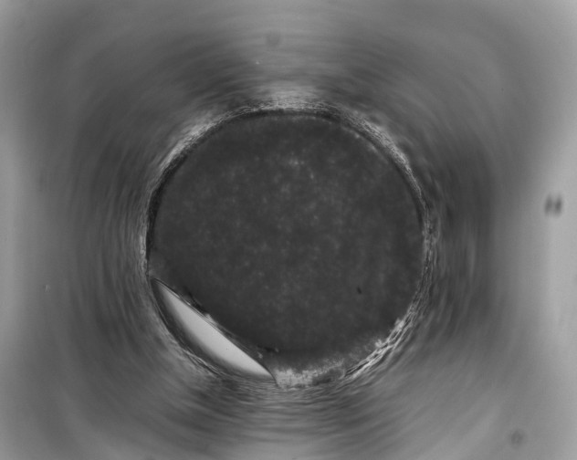 X0000099310154200805161421