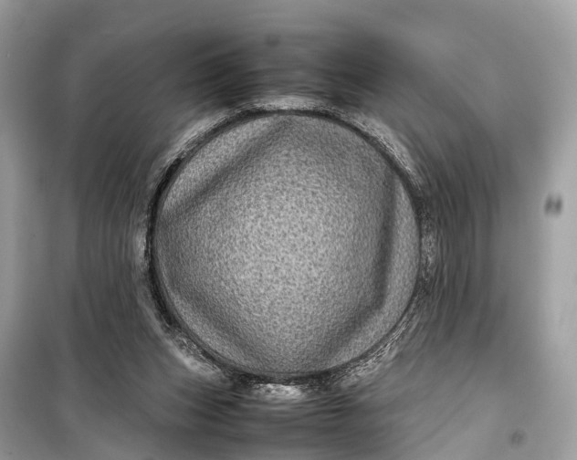 X0000099310159200805161421