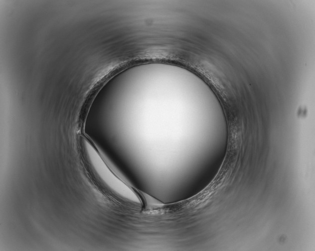 X0000099310160200805161421