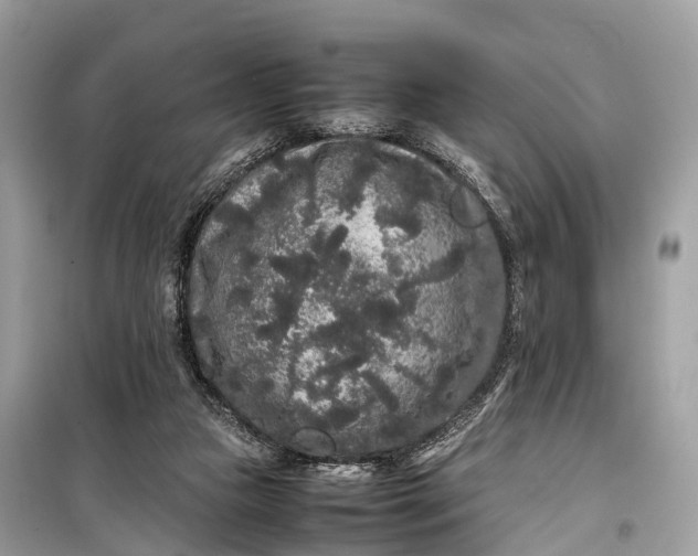 X0000099310161200805161421