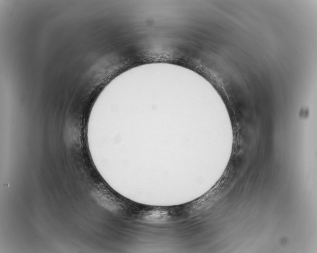 X0000099310162200805161421