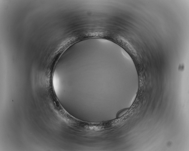 X0000099310163200805161421