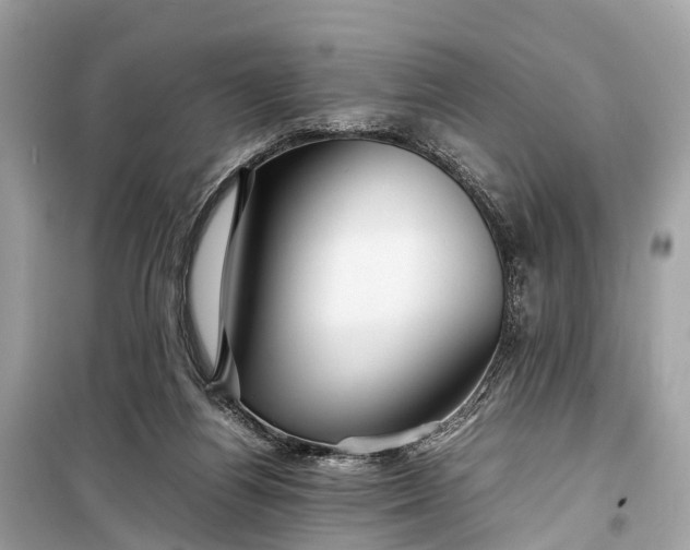 X0000099310164200805161421