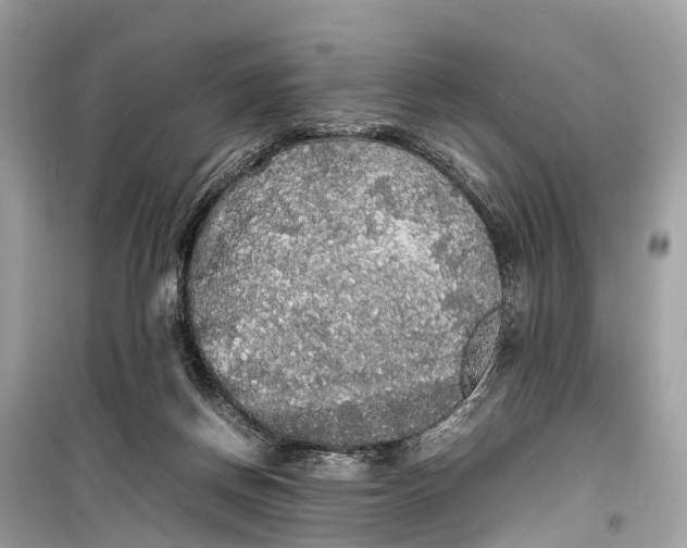 X0000099310166200805161421