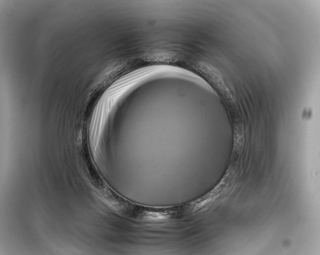 X0000099310167200805161421