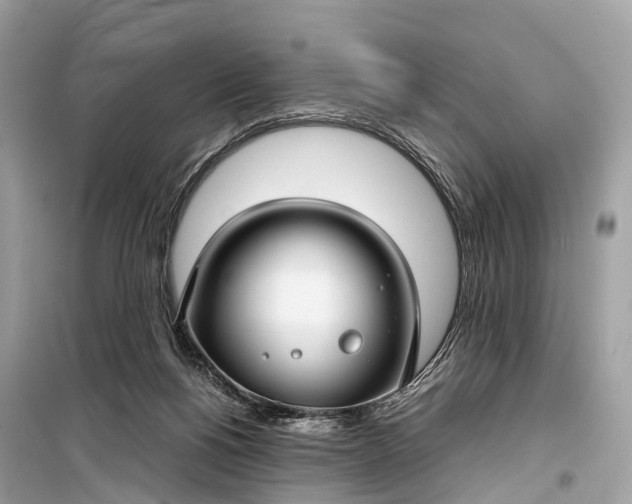 X0000099310168200805161421