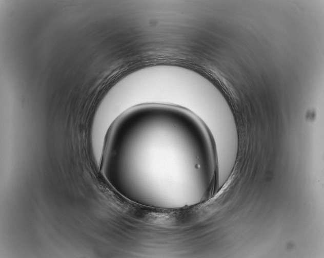 X0000099310170200805161421