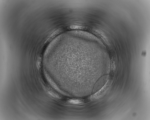 X0000099310171200805161421