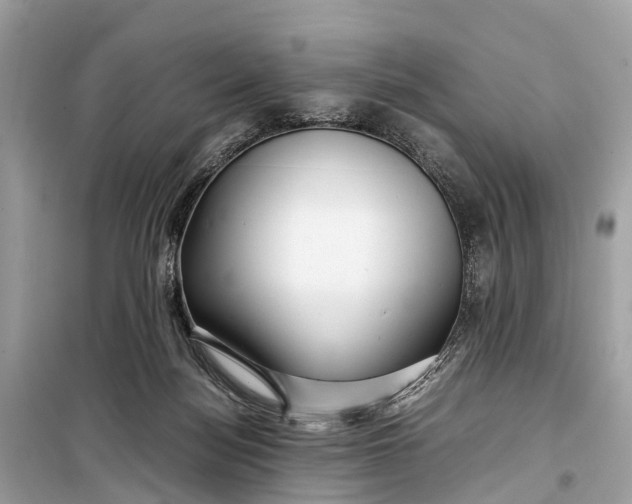 X0000099310172200805161421