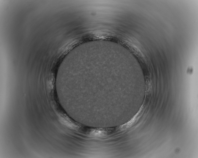 X0000099310174200805161421