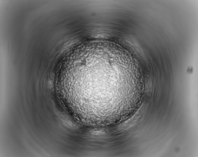 X0000099310175200805161421