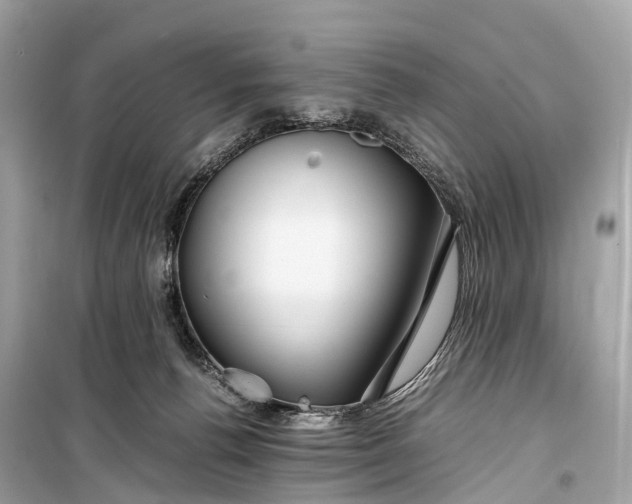 X0000099310176200805161421