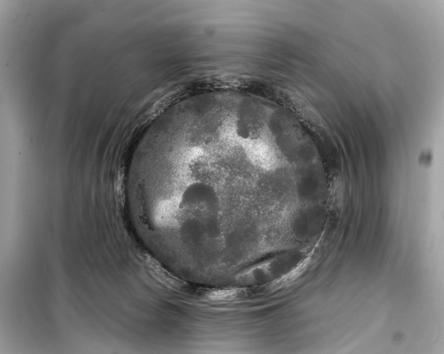 X0000099310178200805161421