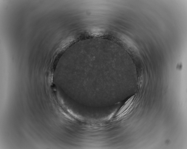 X0000099310180200805161421