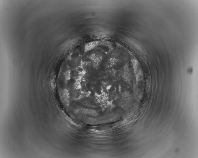 X0000099310181200805161421