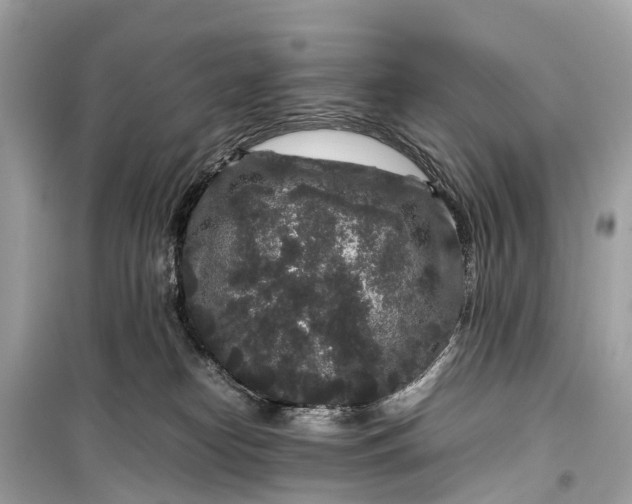 X0000099310182200805161421