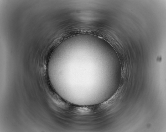 X0000099310183200805161421