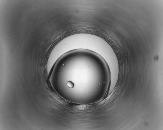 X0000099310184200805161421