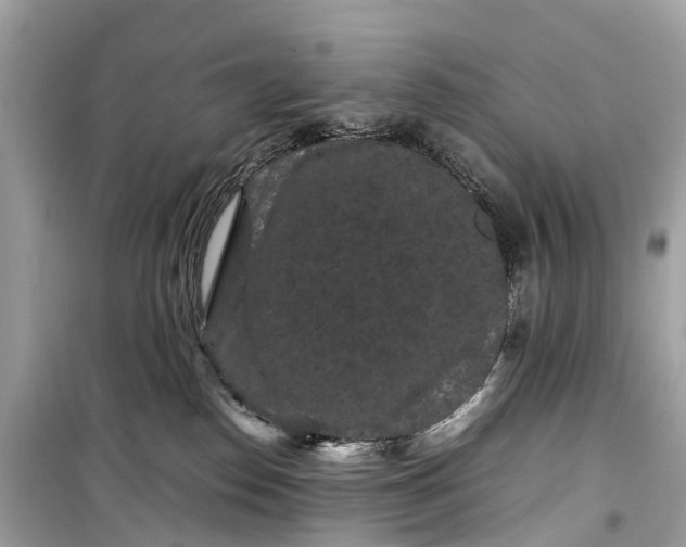 X0000099310186200805161421