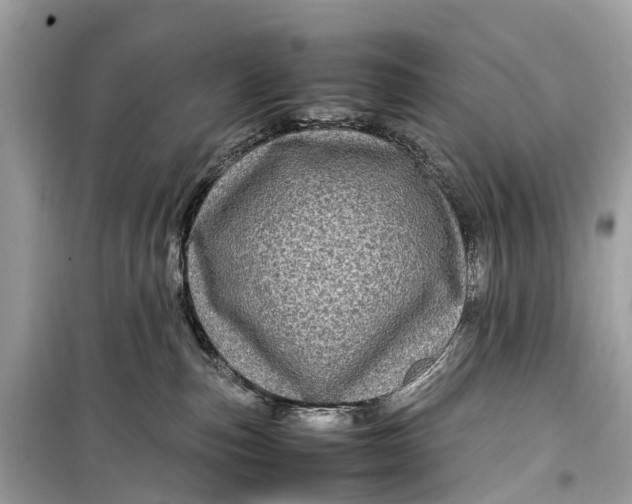 X0000099310187200805161421