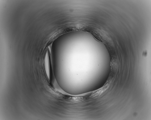 X0000099310188200805161422