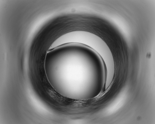 X0000099310190200805161422