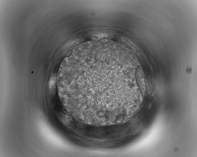 X0000099310191200805161422