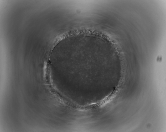 X0000099310192200805161422