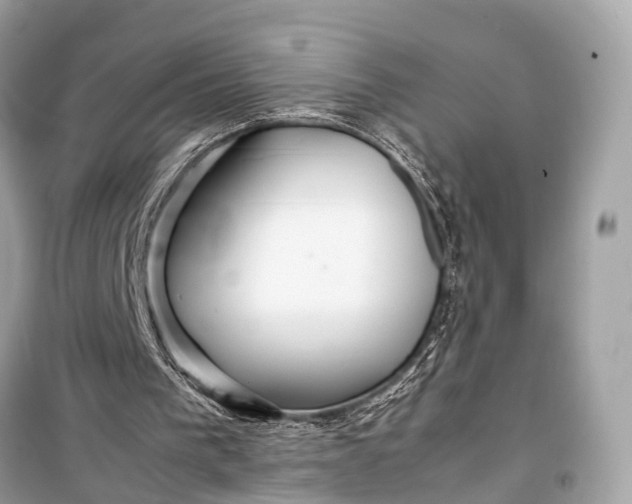 X0000099310193200805161421